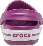 Crocband  viola